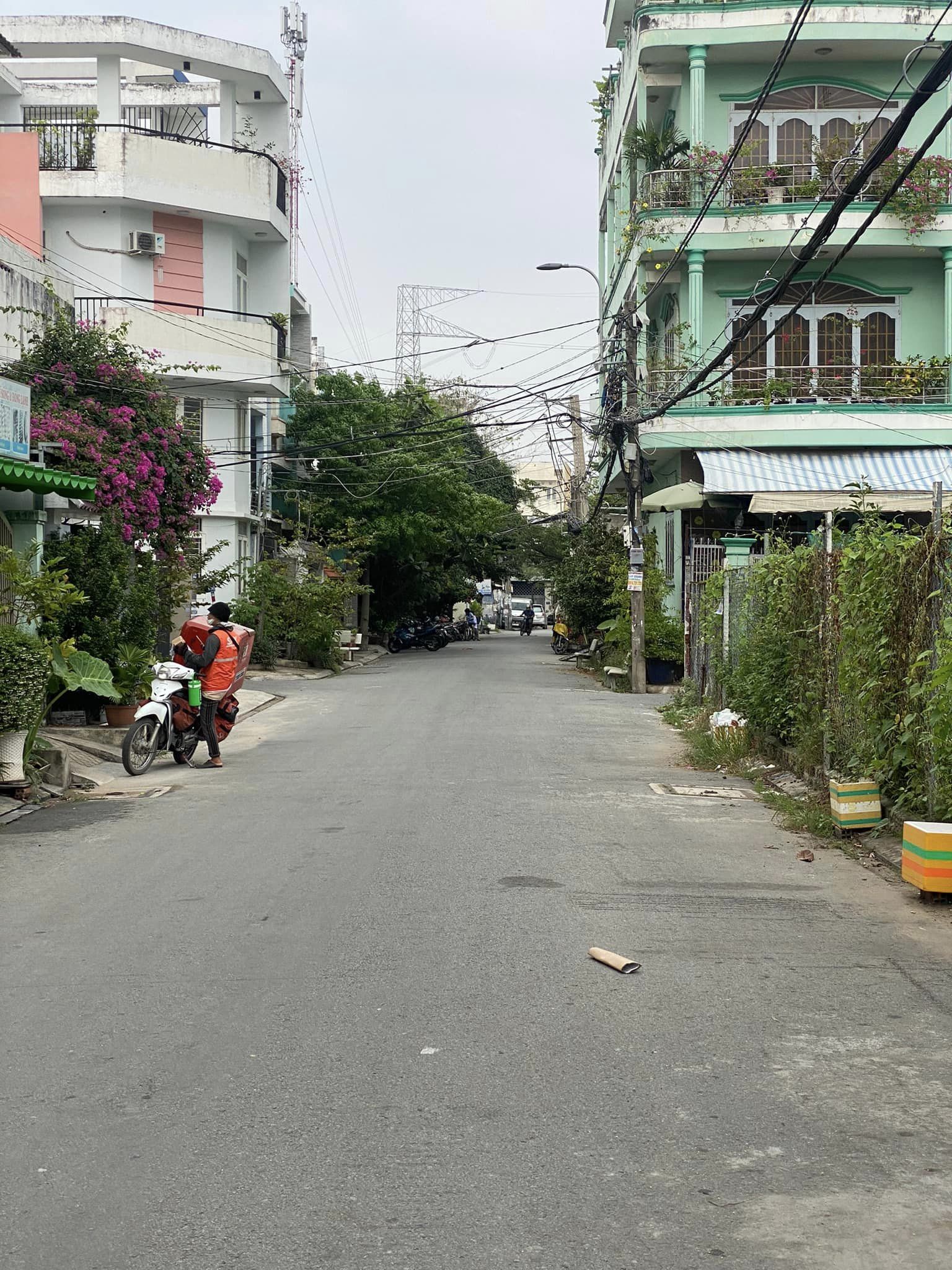 q_3596558653918215_942447090712821848_n