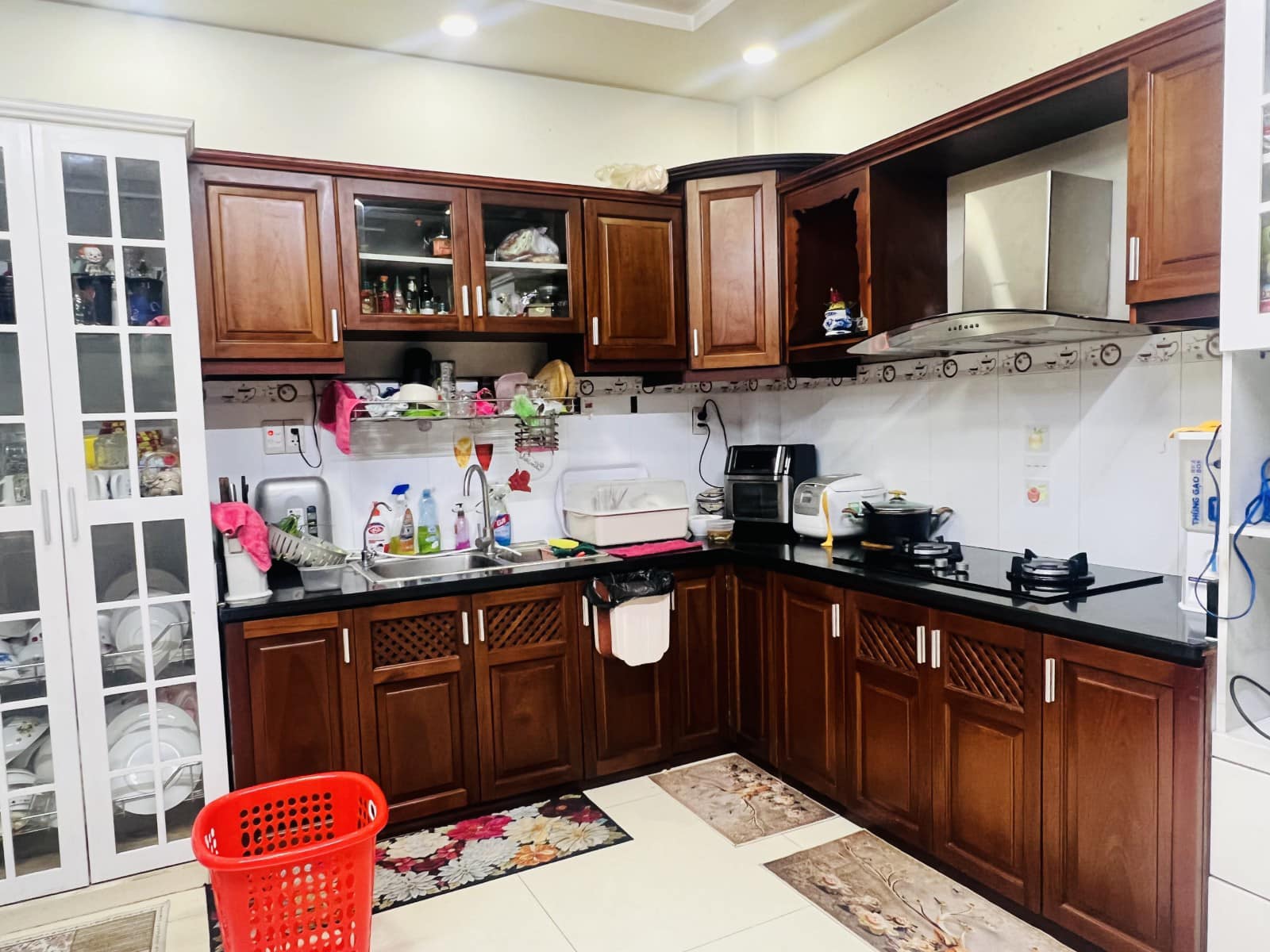 419713175_3694495090871554_8672342307353139318_n