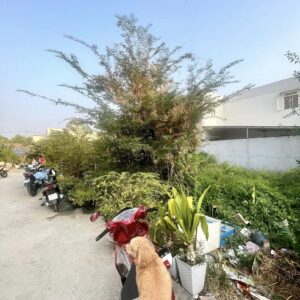 ĐẤT LỚN NGANG 12M- 2 MẶT HẺM Ô TÔ - RẺ NHẤT BÌNH TÂN - NHỈNH 35TR/M2 Đất hẻm xe hơi đường Chiến Lược, Bình Trị Đông Bình Tân + Thông số: 598m2 đất, 12 X 50 + Khuôn đất vàng cực đẹp, hiện trạng đất trống đang rào chắn cẩn thận, có 550m2 đất ở. + 2 mặt thoáng hẻm ô tô lộ giới 10m (hiện trạng 6m) - 7m (đã mở không lộ giới hông). + Tiện làm nhà xưởng hoặc phân lô (8 lô) + Hàng xóm cao tầng thân thiện, dân trí cao, tiện ích đầy đủ. + Giá chính chủ 21.3 tỷ, thương lượng với người mua thiện chí Mua bán nhà chính chủ Bình Tân. Liên hệ ngay để được hỗ trợ tư vấn, xem nhà 24/24 miễn phí. Cam kết đàm phán giao dịch chính chủ, hỗ trợ giá tốt nhất (Miễn trung gian) @STBT-199 - NHADATST - NHÀ THẬT GIÁ THẬT - TÌM VỚI ST, MUA NHÀ THẬT DỄ