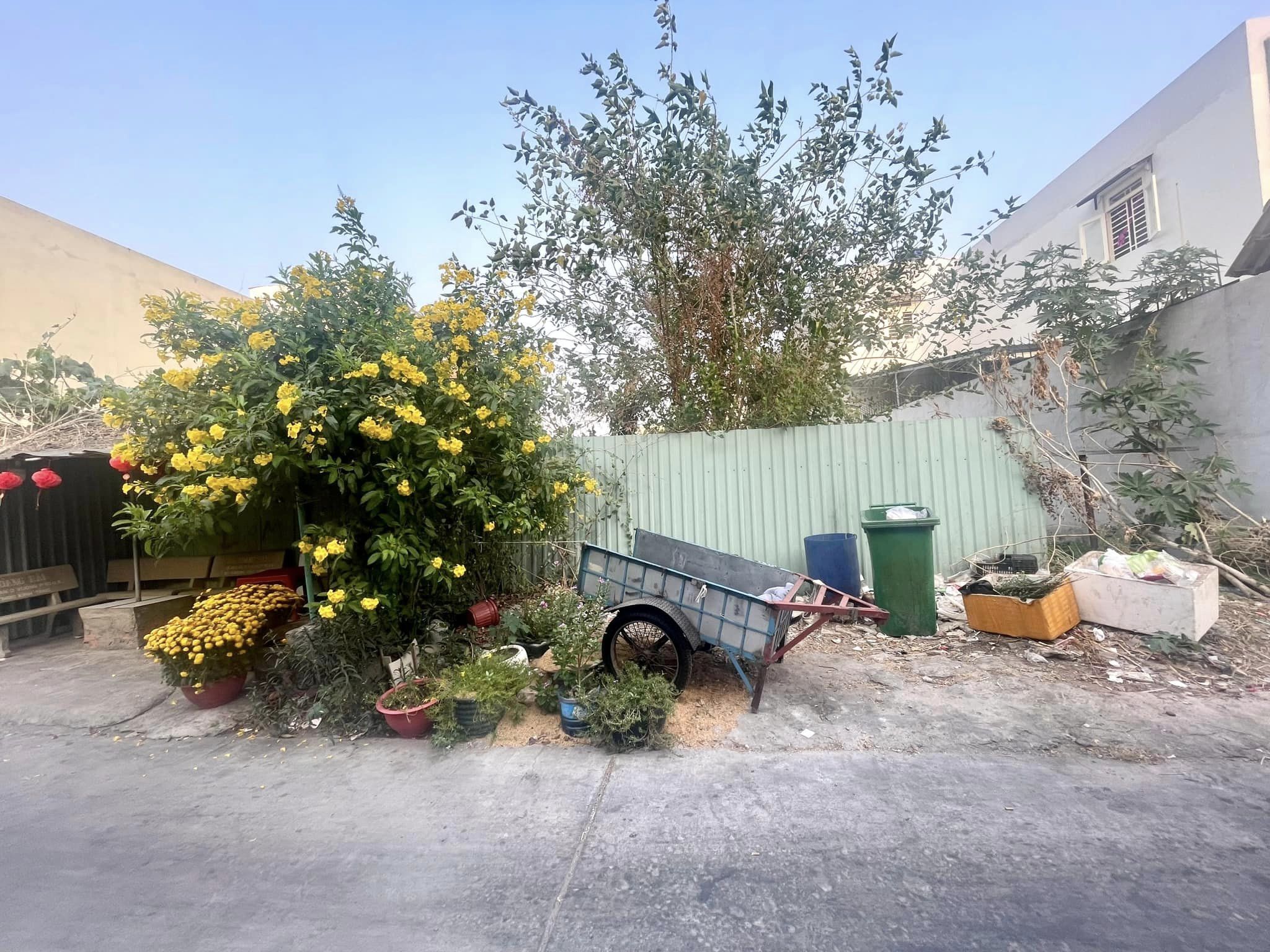 431620443_941705017412930_3633800254075766203_n