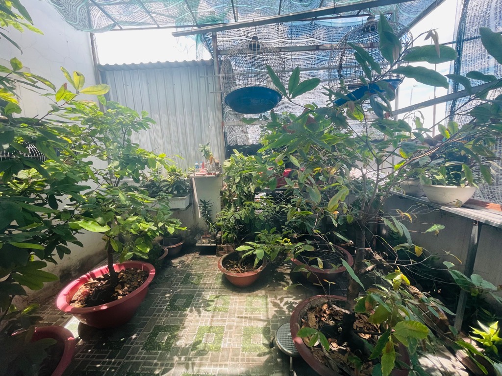 yq5-4B64DAD6-lzp7h9zs_17_lzp7haes