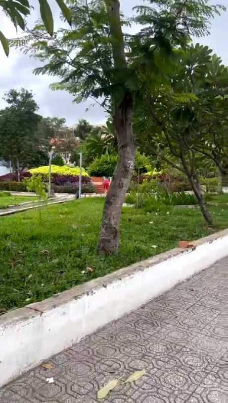 zcq-FB535C0E-m1z661rm_30_11