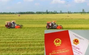 hạn mức bồi thường đất nông nghiệp