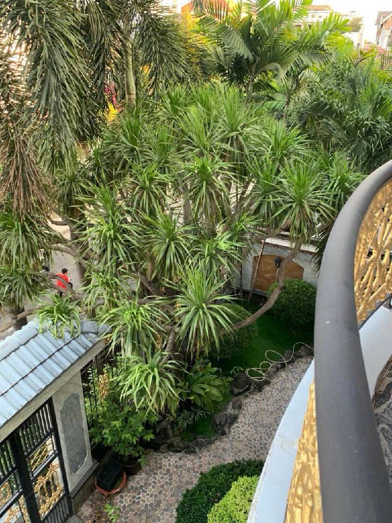 2hm4-E2C9F989-mfi64lx4_38_15