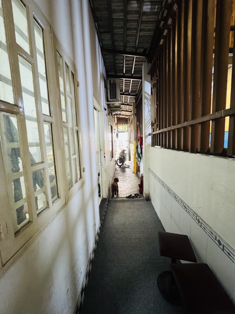 2ztj-63161539-mezgm6ft_29_10